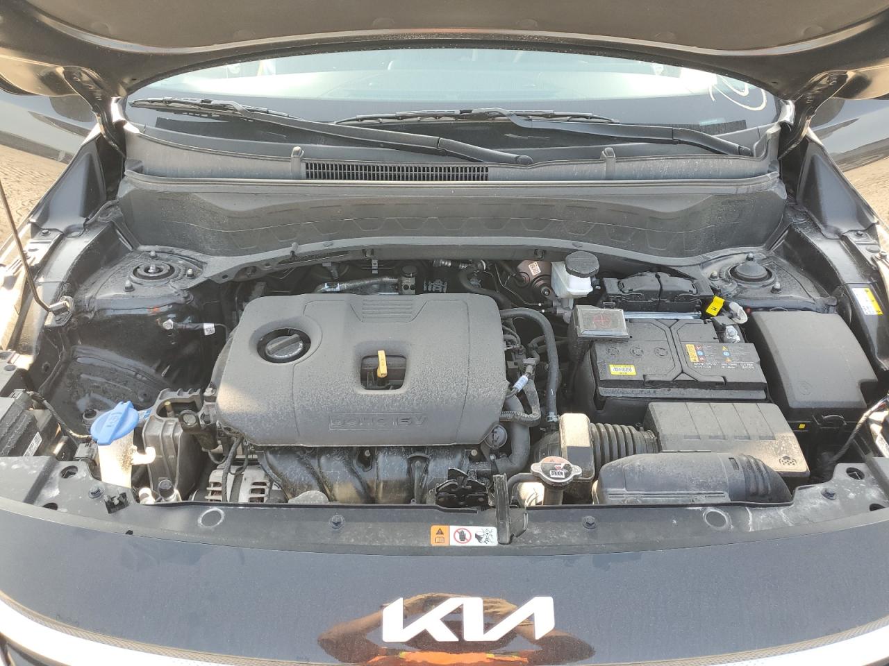 2024 Kia Seltos Ex VIN: KNDER2AA1R7593807 Lot: 66078084