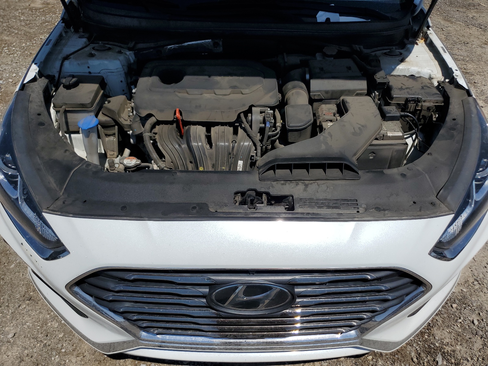 5NPE24AF4KH801322 2019 Hyundai Sonata Se