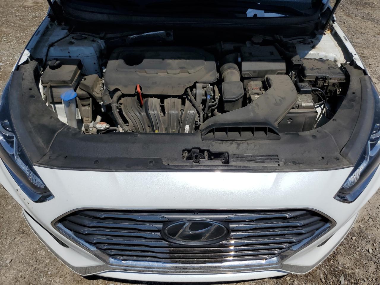 2019 Hyundai Sonata Se VIN: 5NPE24AF4KH801322 Lot: 66799824