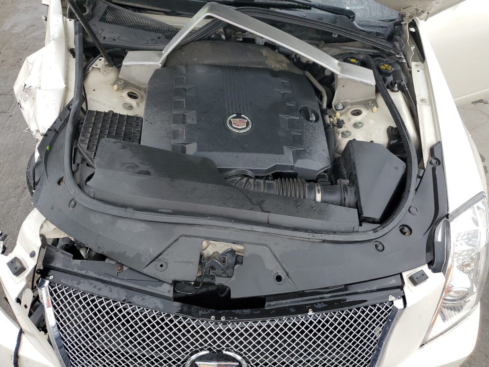 1G6DS8ED5B0112871 2011 Cadillac Cts Premium Collection