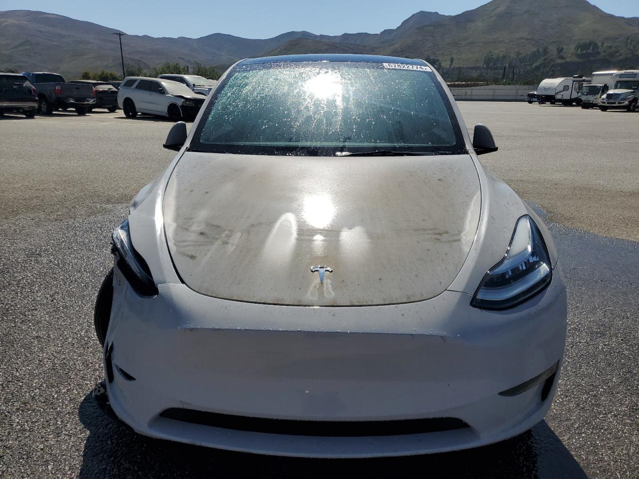 VIN 7SAYGDEE9PA075124 2023 TESLA MODEL Y no.5