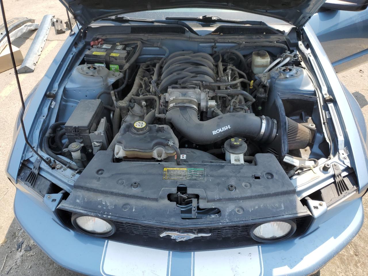 2006 Ford Mustang Gt VIN: 1ZVHT82H665193212 Lot: 65965674