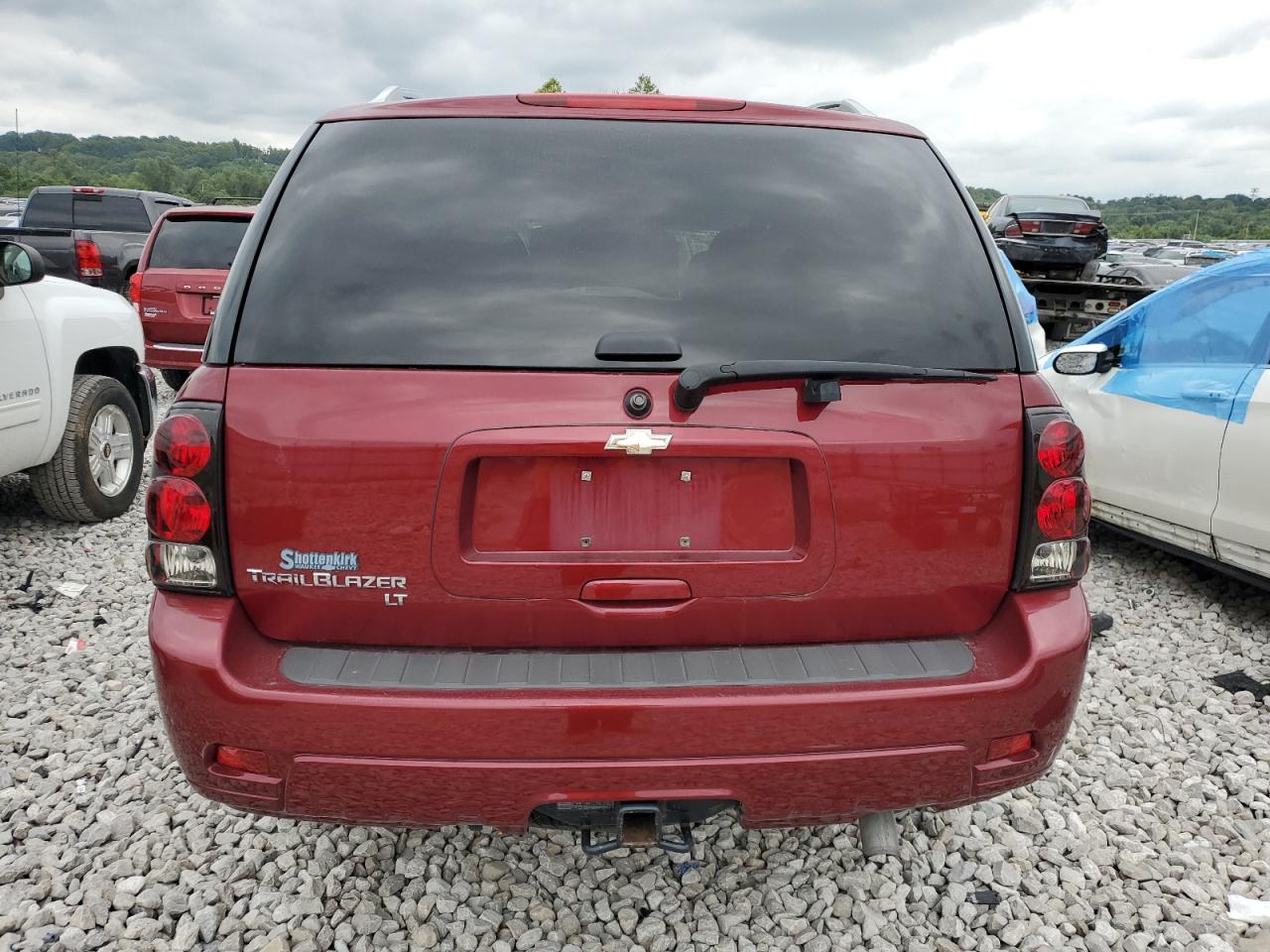 2009 Chevrolet Trailblazer Lt VIN: 1GNDT33S992105233 Lot: 65971604