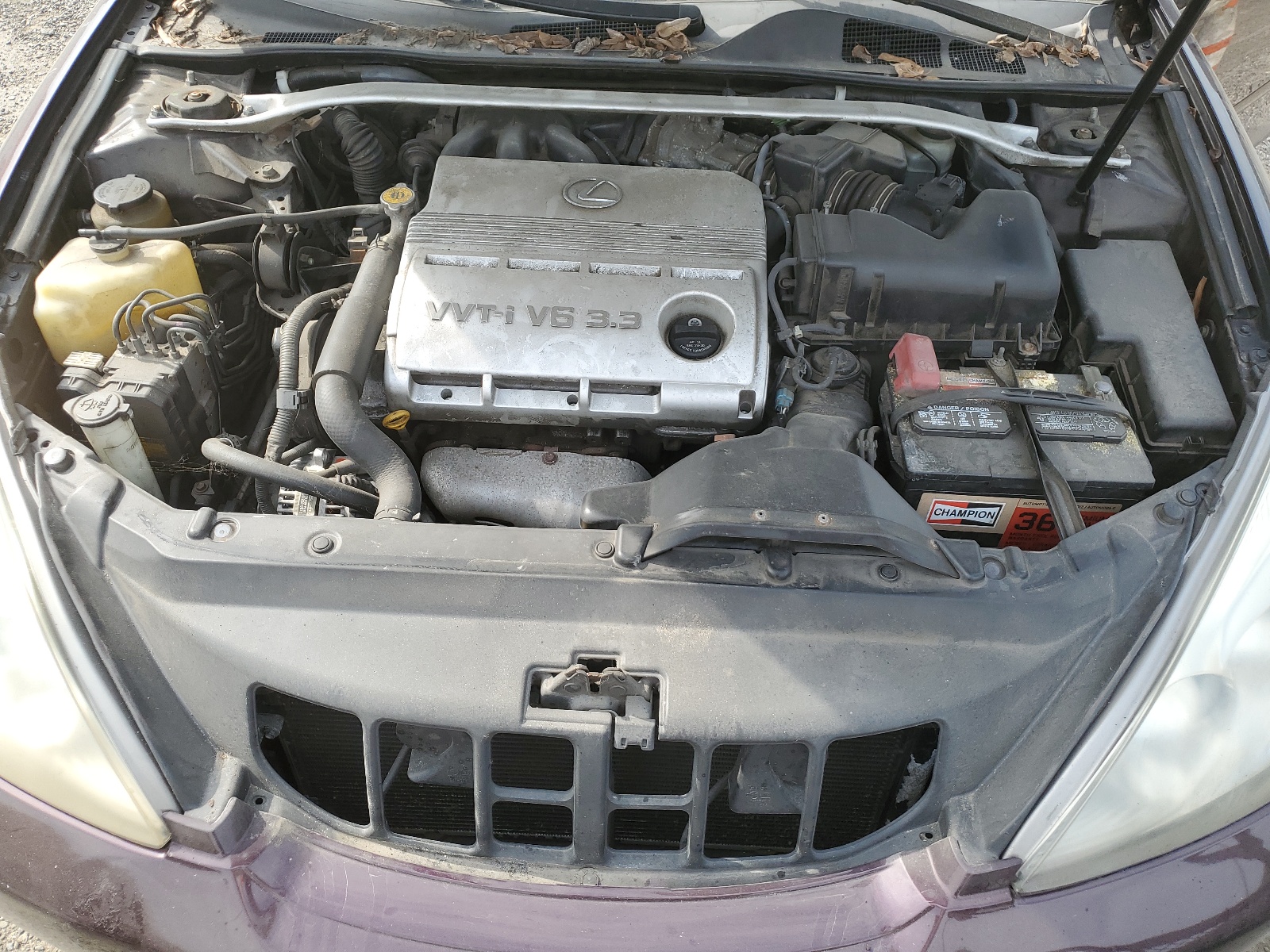 JTHBA30G145028465 2004 Lexus Es 330