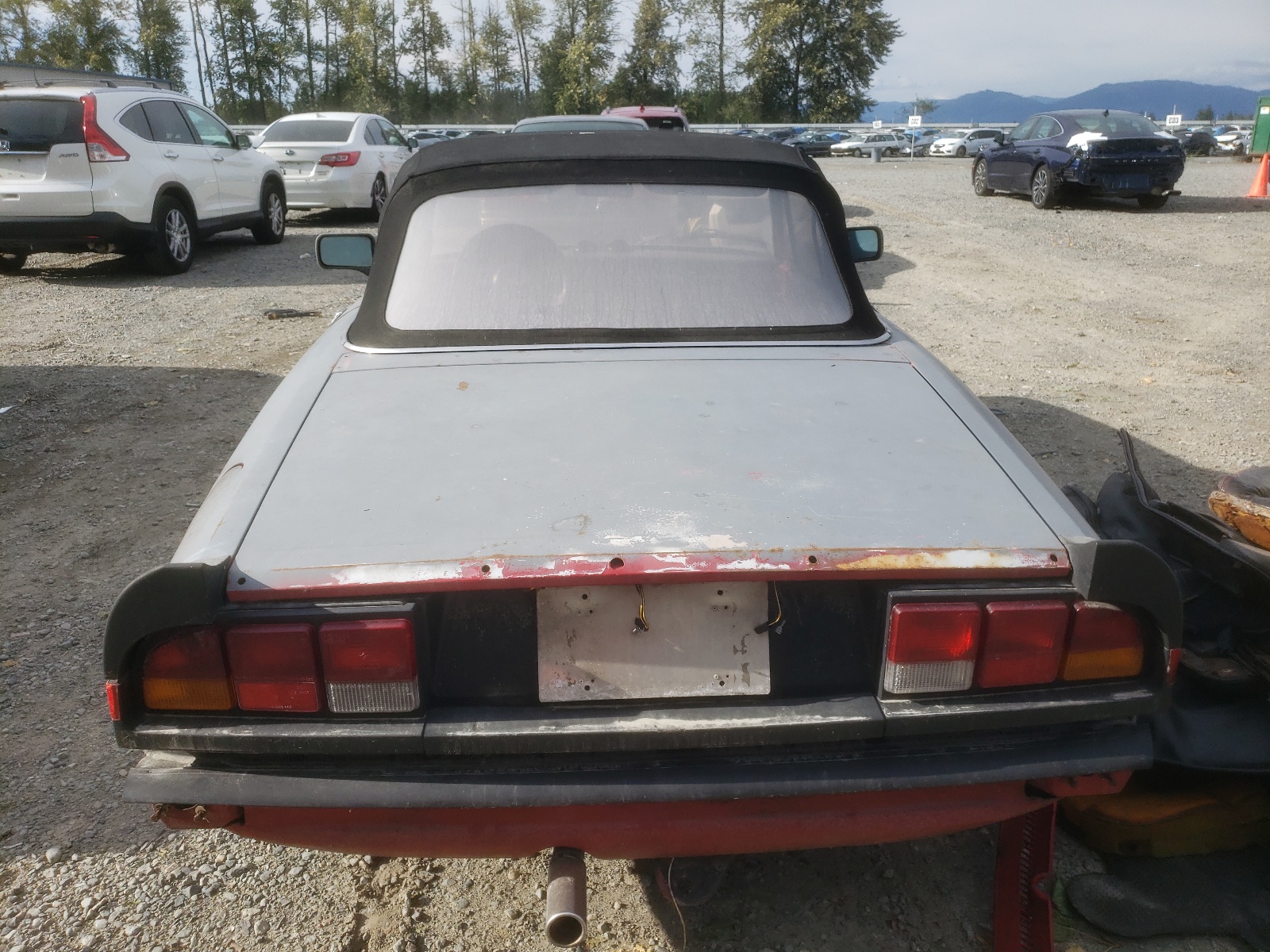 ZARBA5415G1036296 1986 Alfa Romeo Veloce 2000 Spider