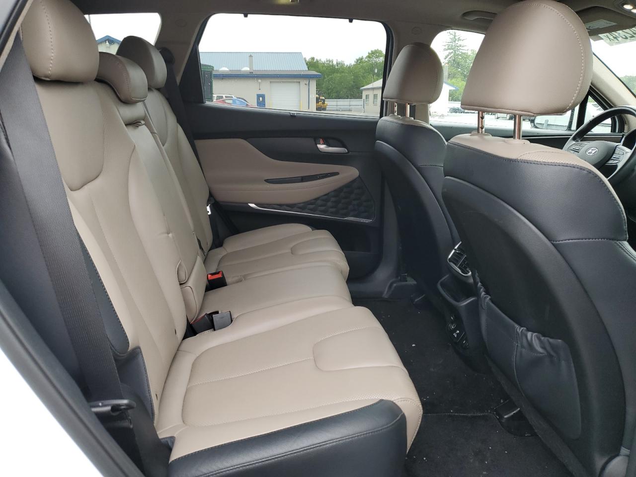 2020 Hyundai Santa Fe Limited VIN: 5NMS5CAA0LH290585 Lot: 66524234