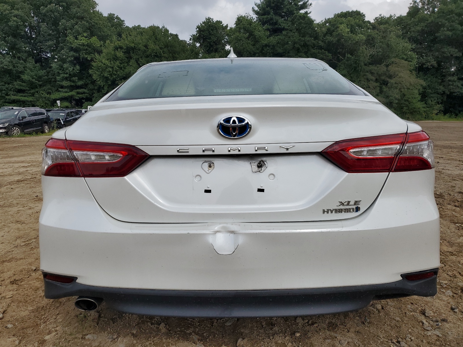 2019 Toyota Camry Hybrid vin: 4T1B21HKXKU014185