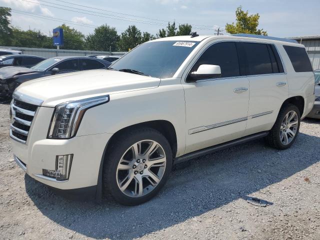 Паркетники CADILLAC ESCALADE 2015 Білий