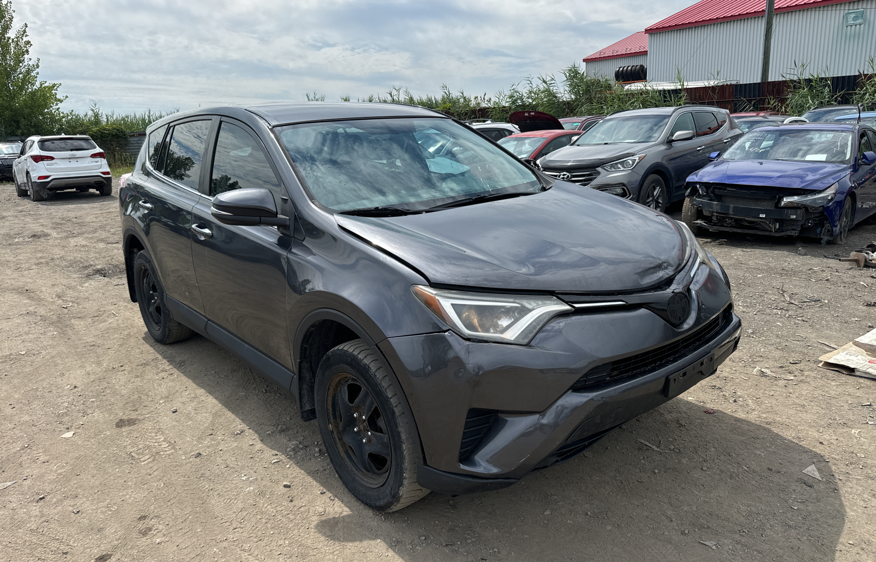 2016 Toyota Rav4 Le vin: 2T3BFREV6GW441105