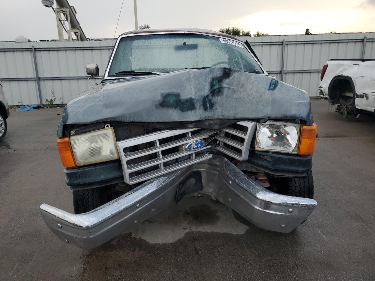 1991 Ford F150 VIN: 1FTEF14H6MKB03184 Lot: 69576934