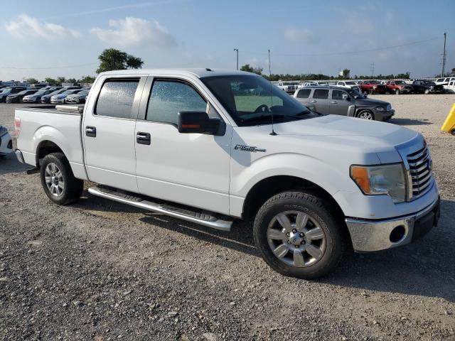  FORD F-150 2012 Белы