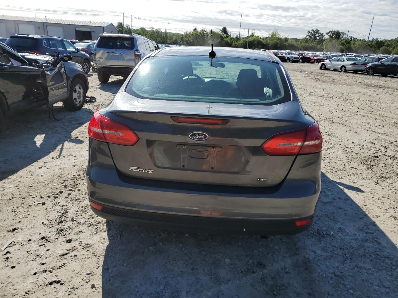 2016 Ford Focus Se VIN: 1FADP3F23GL240231 Lot: 68791334