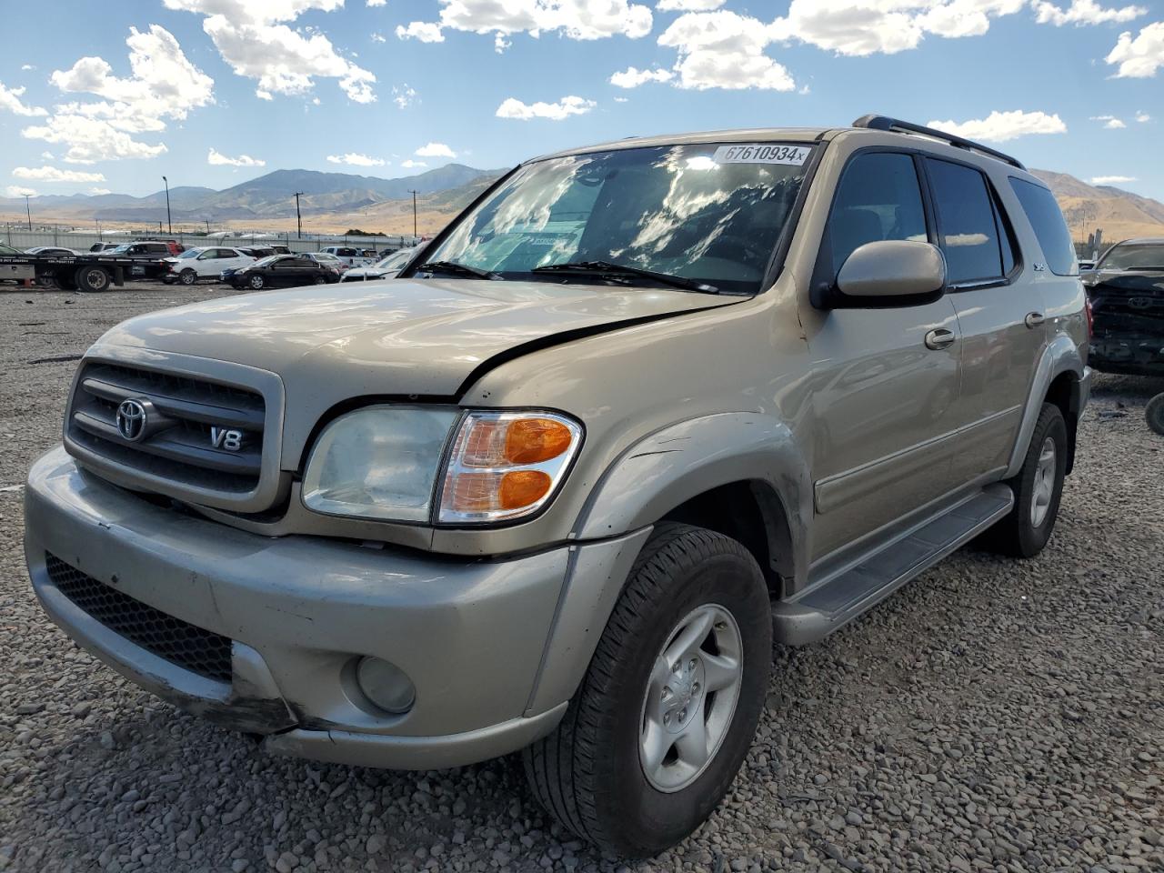 2002 Toyota Sequoia Sr5 VIN: 5TDBT44A82S091982 Lot: 67610934
