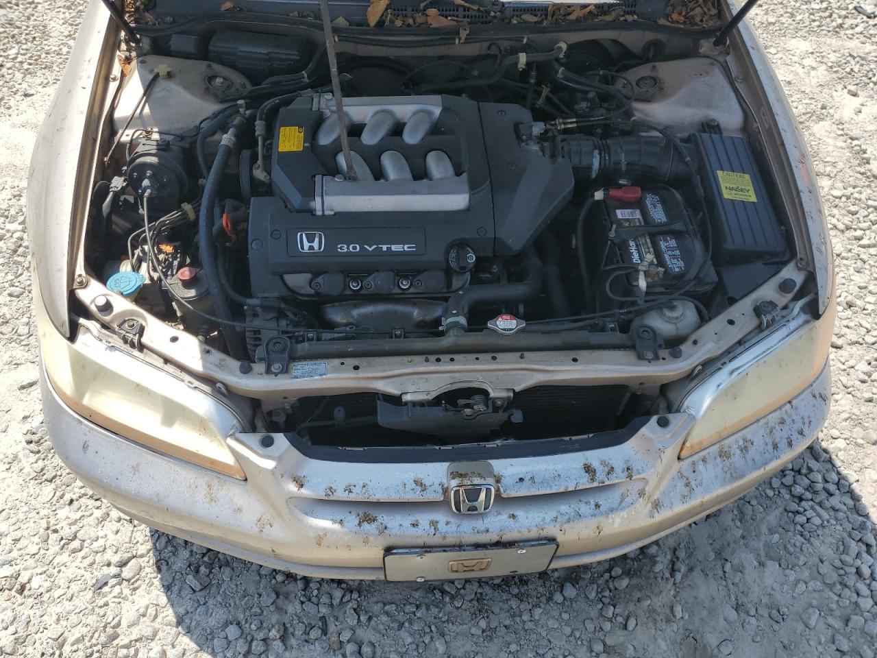 2000 Honda Accord Ex VIN: 1HGCG1656YA067033 Lot: 66235934