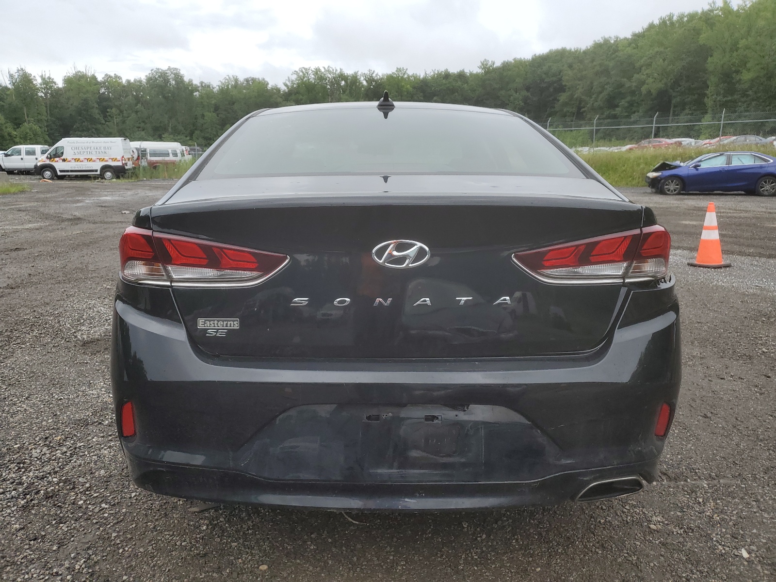 5NPE24AF4KH791875 2019 Hyundai Sonata Se