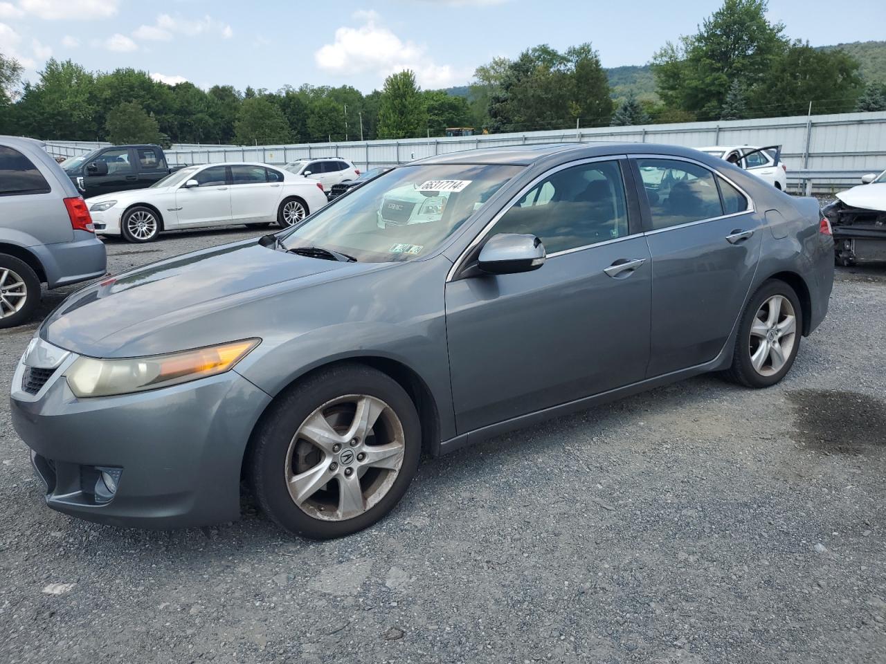 2009 Acura Tsx VIN: JH4CU26629C033343 Lot: 66317714