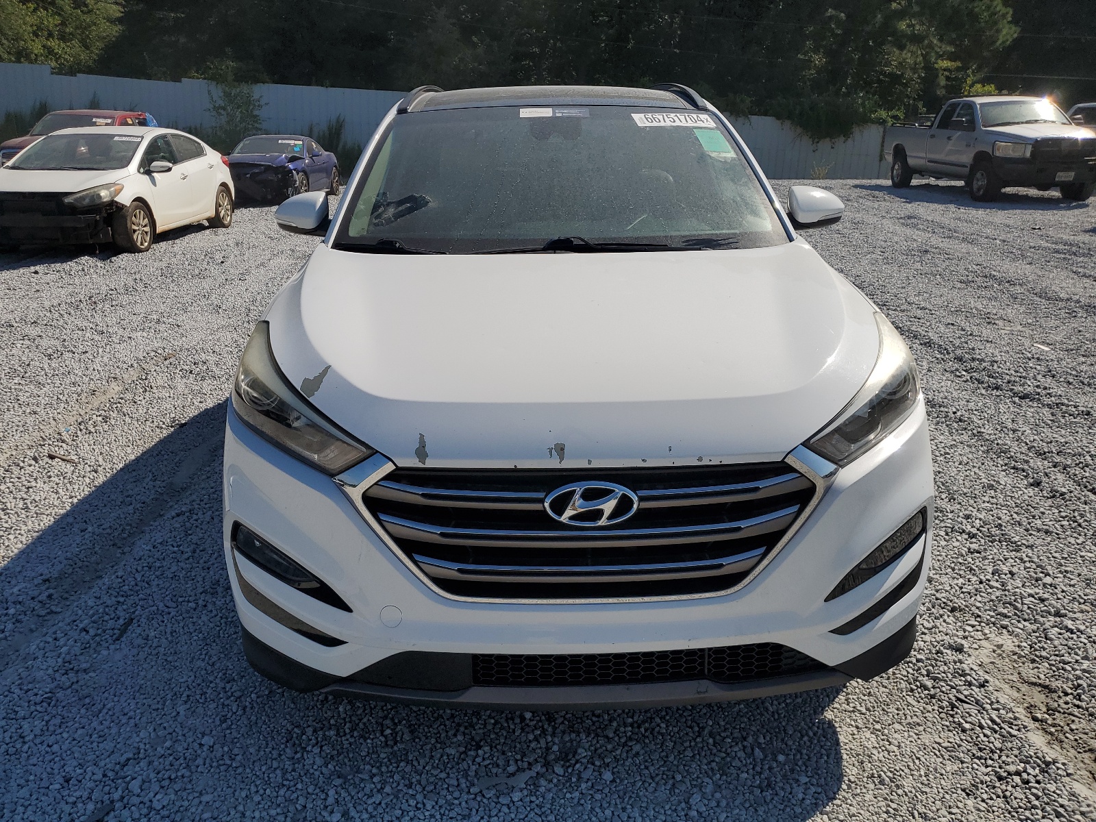 2016 Hyundai Tucson Limited vin: KM8J33A25GU056091
