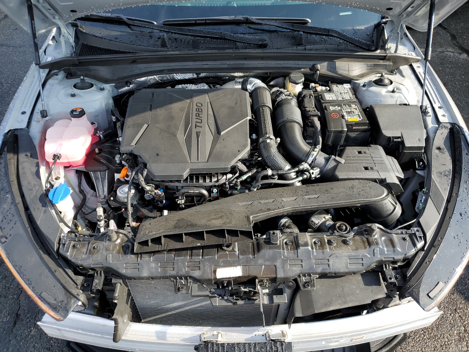 5XXG44J83RG258779 2024 Kia K5 Gt