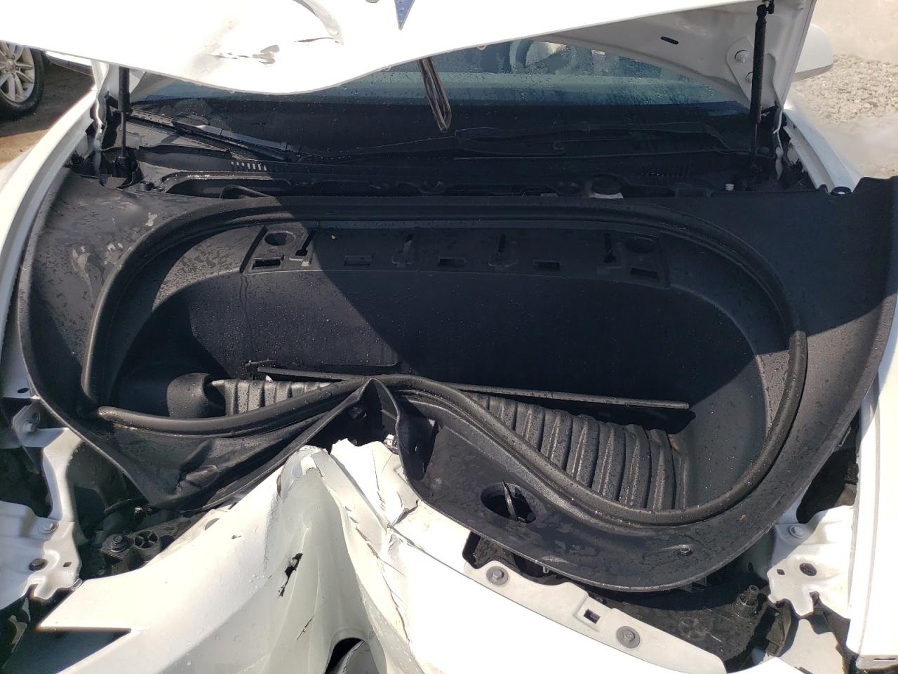 2024 Tesla Model 3 VIN: 5YJ3E1EA4RF772862 Lot: 65484414