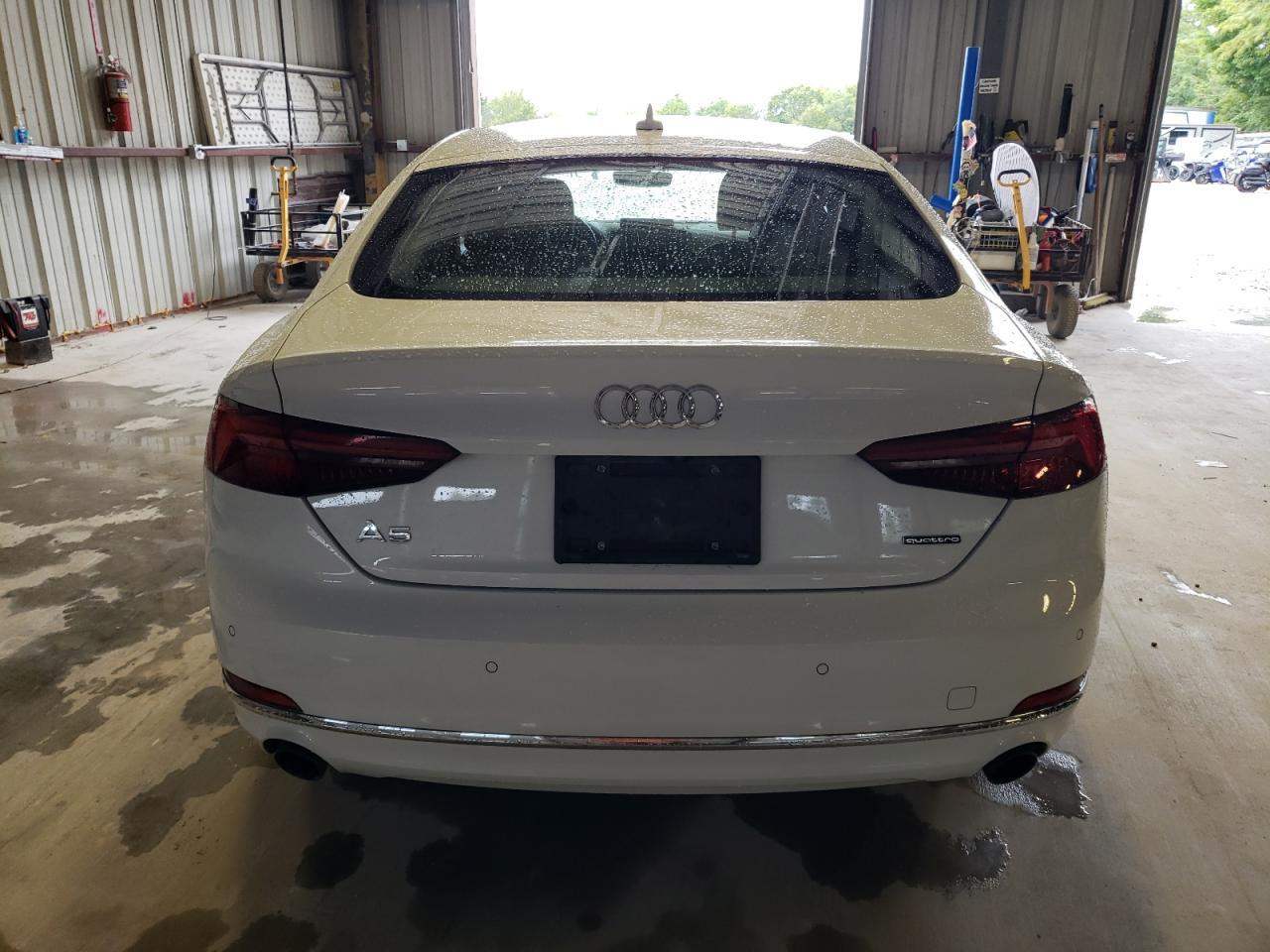 2019 Audi A5 Premium Plus VIN: WAUBNCF51KA097296 Lot: 66667794