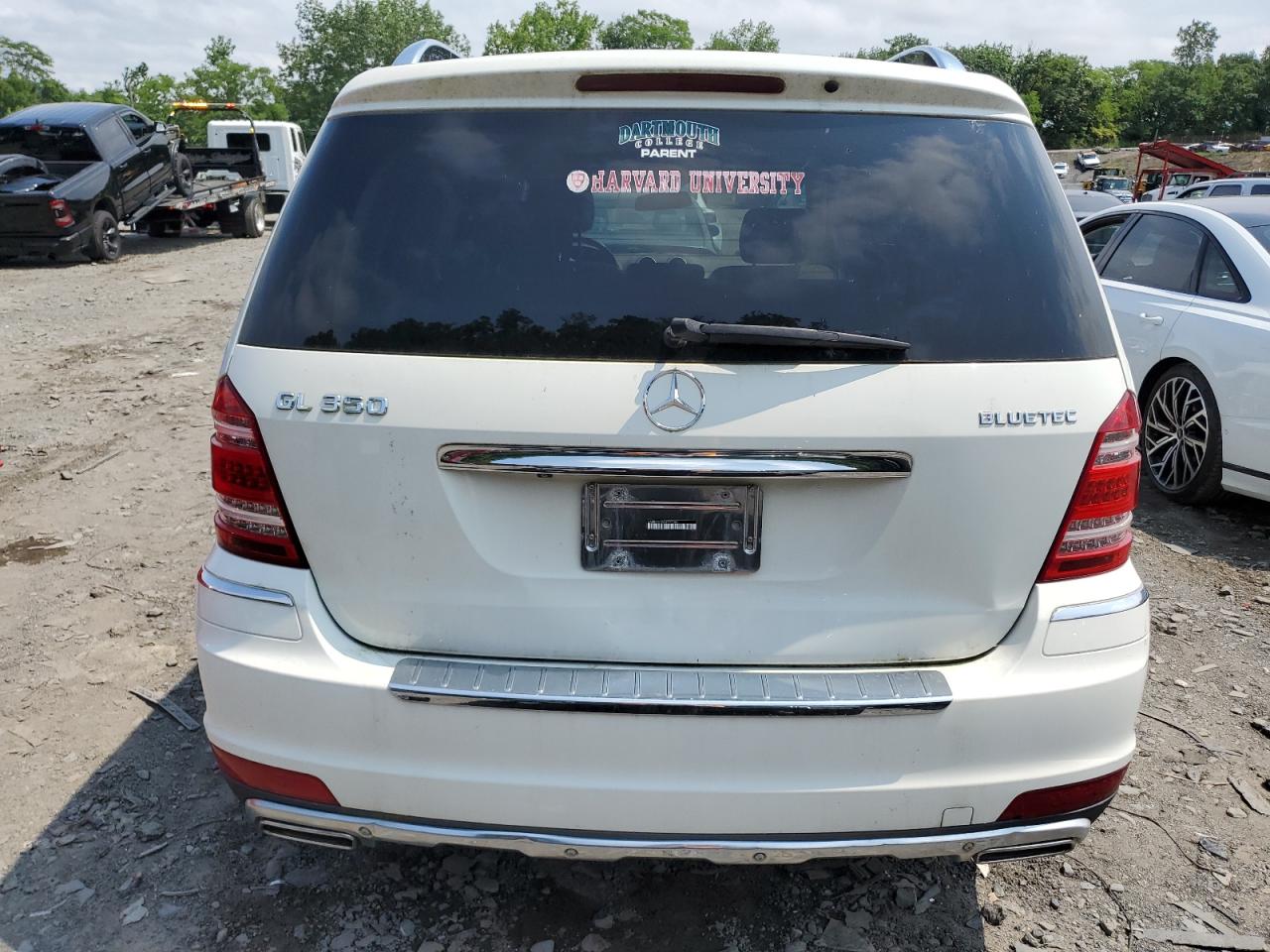 2010 Mercedes-Benz Gl 350 Bluetec VIN: 4JGBF2FE9AA597341 Lot: 65284434