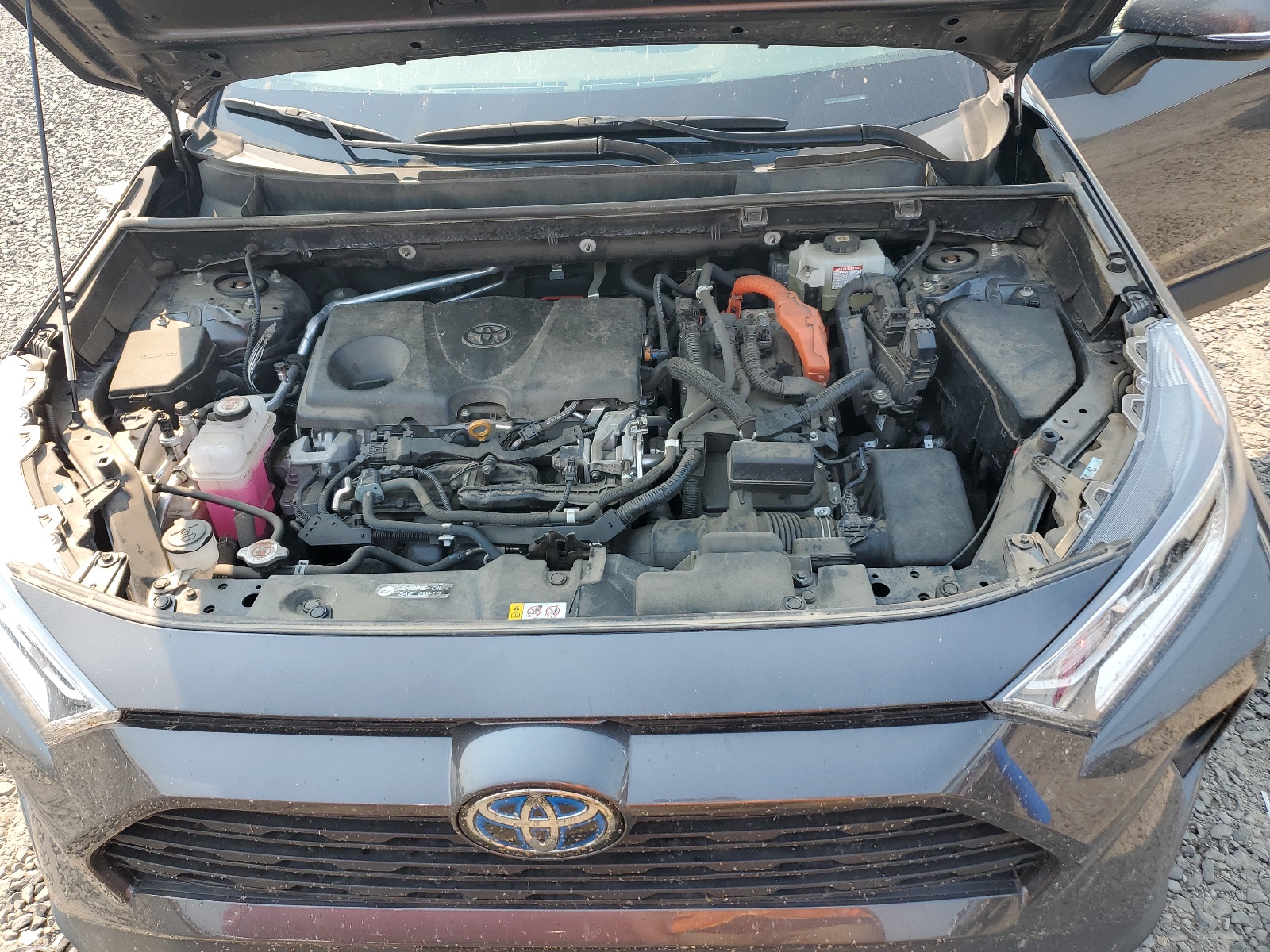 2T3RWRFV7MW108095 2021 Toyota Rav4 Xle