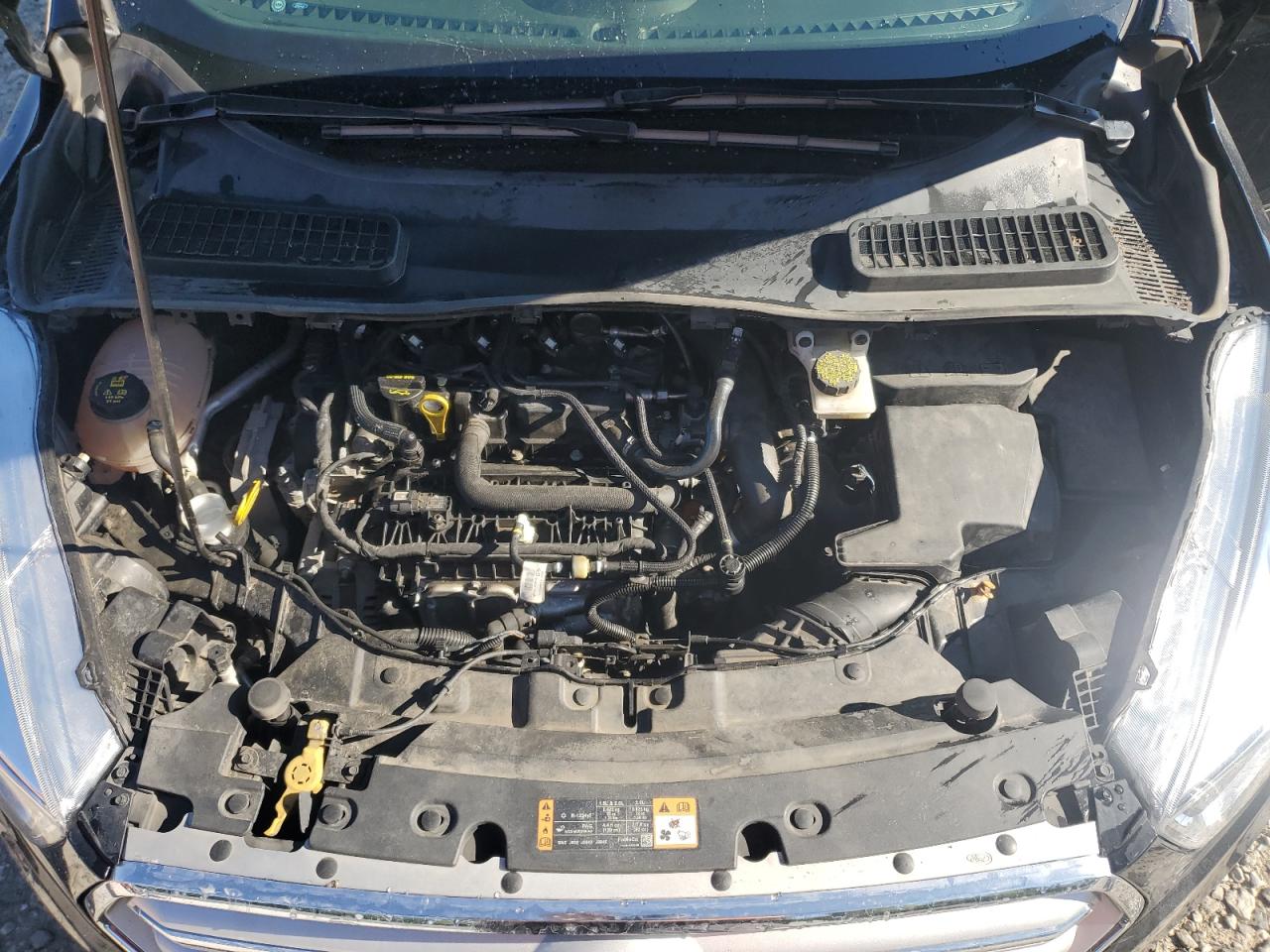 2019 Ford Escape Se VIN: 1FMCU9GD7KUB61435 Lot: 66285064