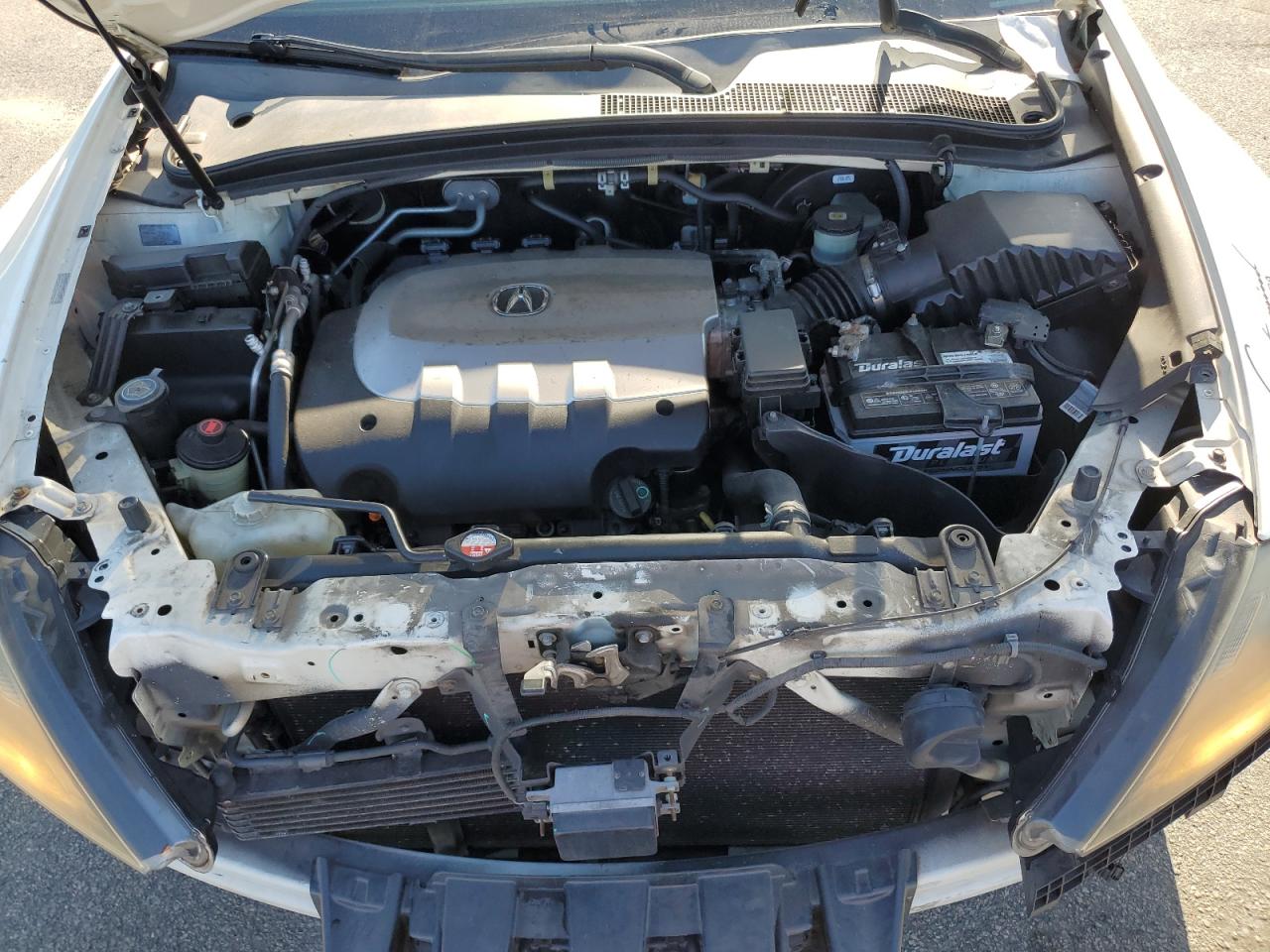 2010 Acura Zdx Advance VIN: 2HNYB1H61AH500719 Lot: 65076704