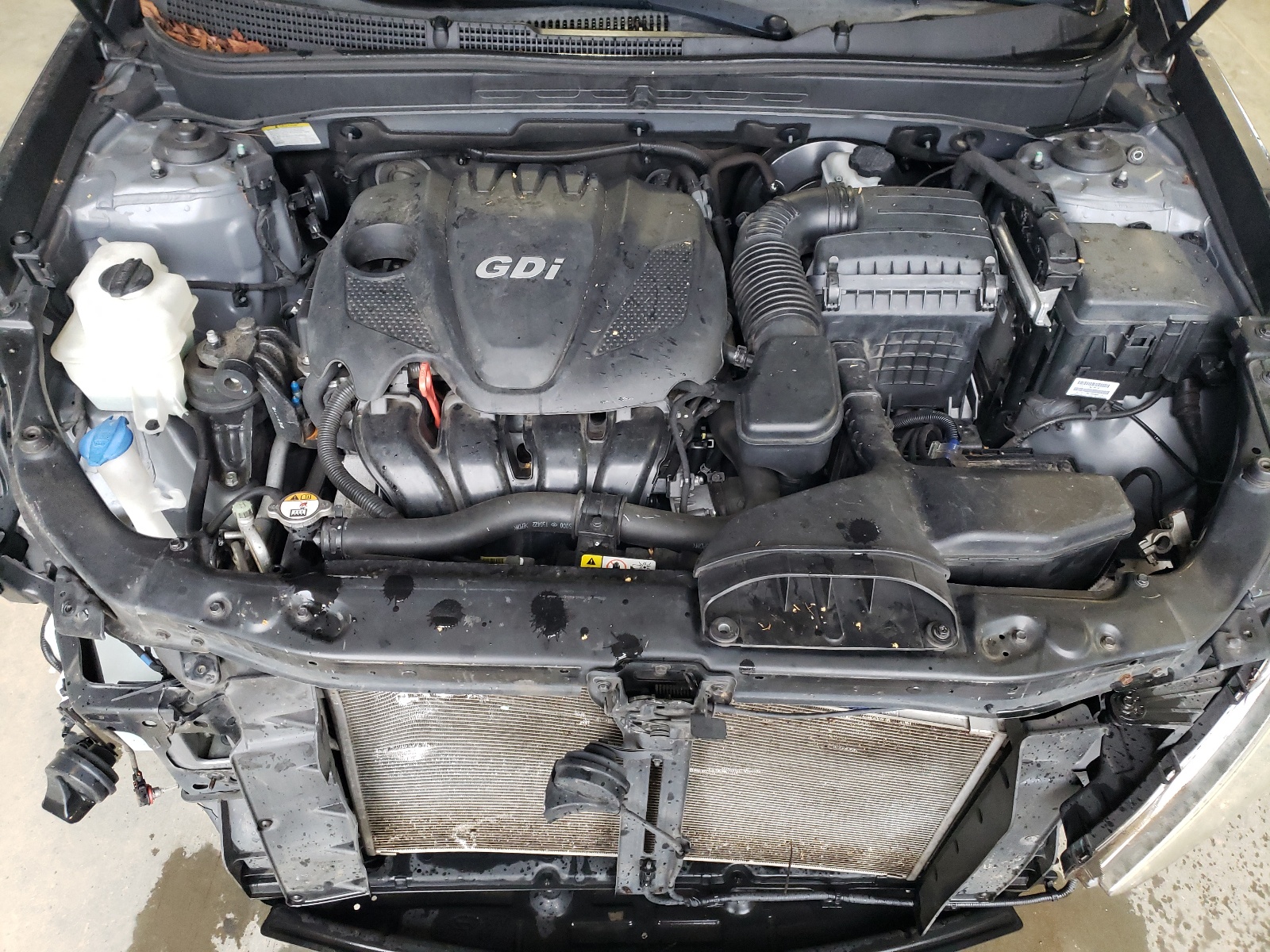 5NPEB4AC4DH778956 2013 Hyundai Sonata Gls