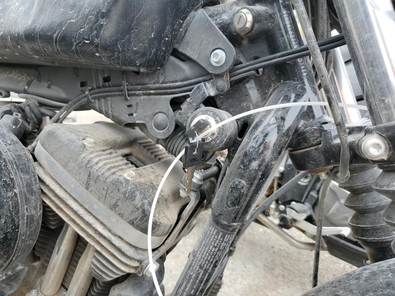 2022 Harley-Davidson Xl883 N VIN: 1HD4LE211NB403748 Lot: 66114354