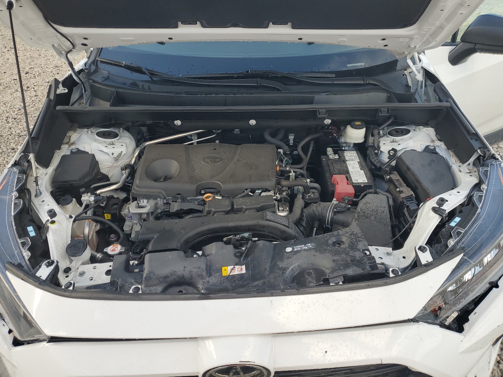 2T3H1RFV0MW169654 2021 Toyota Rav4 Le