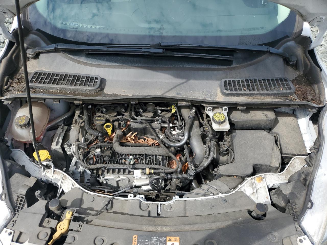 2019 Ford Escape Se VIN: 1FMCU0GD1KUC06655 Lot: 66433494