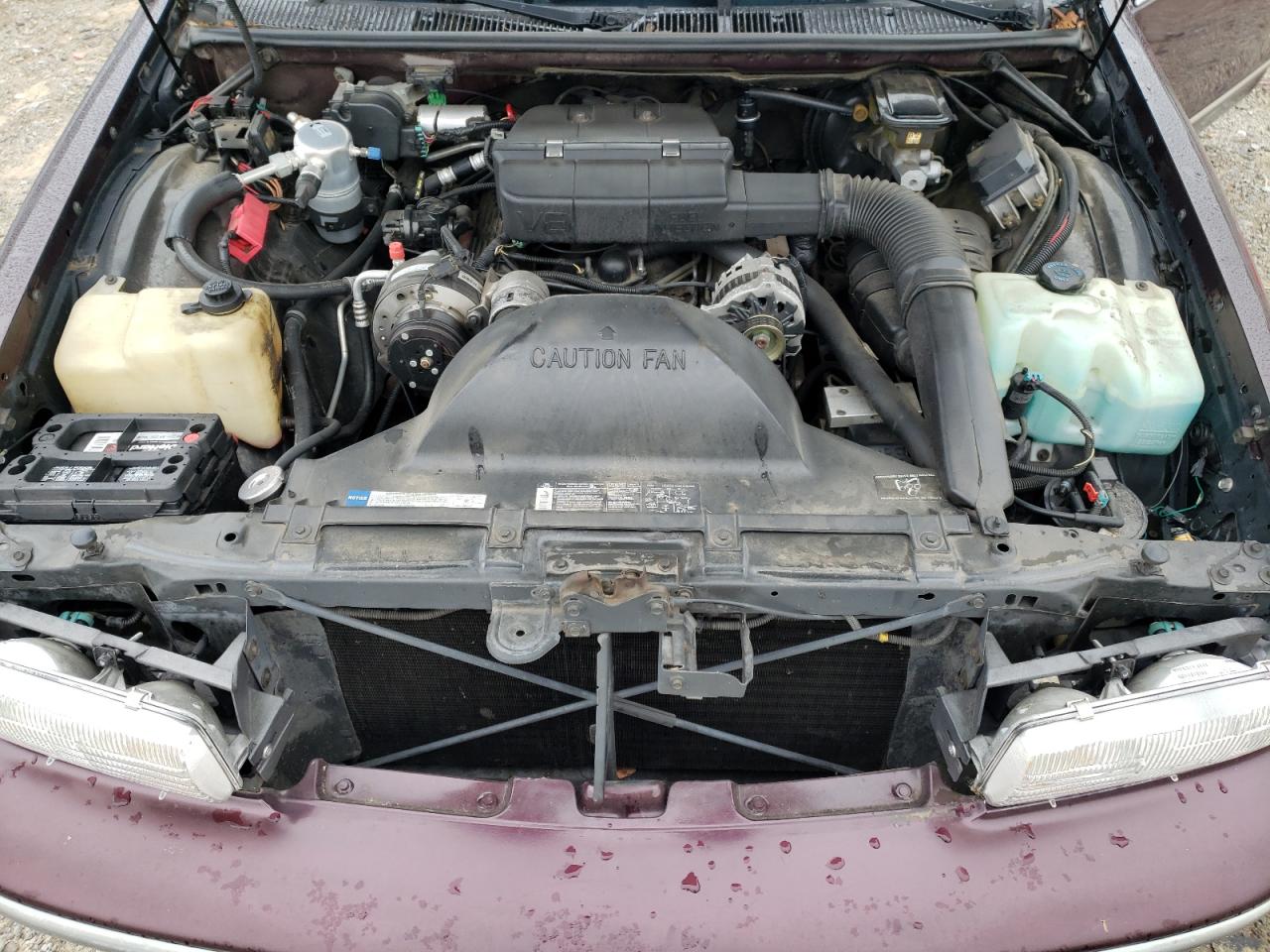 1993 Chevrolet Caprice Classic VIN: 1G1BL53E3PR142247 Lot: 65571124