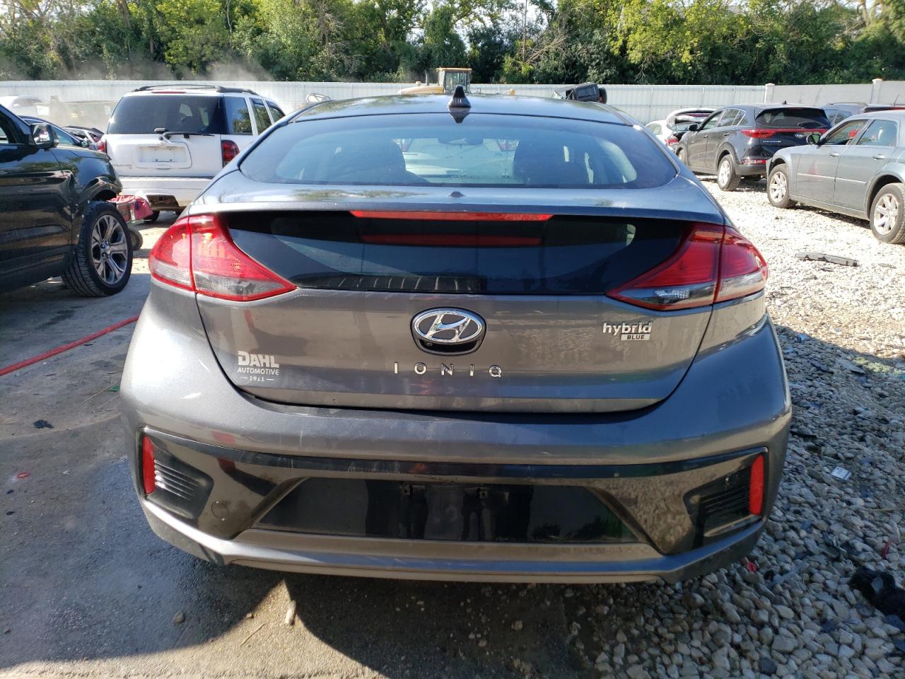 2019 Hyundai Ioniq Blue VIN: KMHC65LC1KU117561 Lot: 66012114