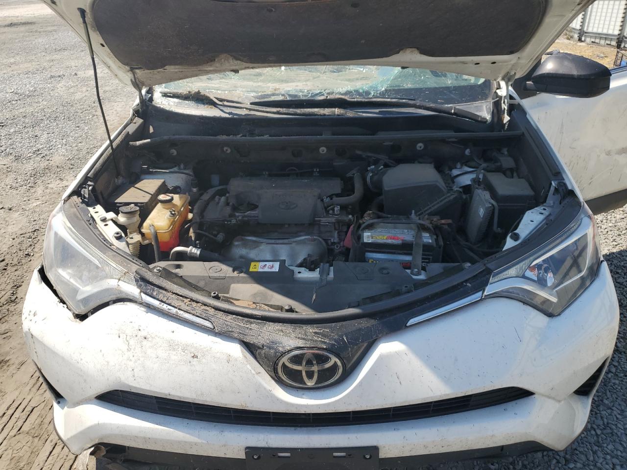 JTMZFREV4HJ128519 2017 Toyota Rav4 Le