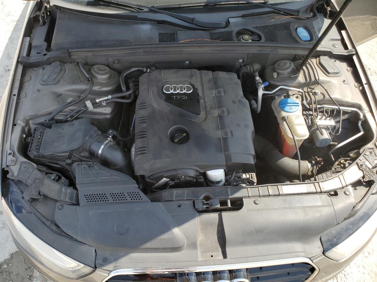 2014 Audi A4 Premium Plus VIN: WAUEFAFL2EN007986 Lot: 66798024