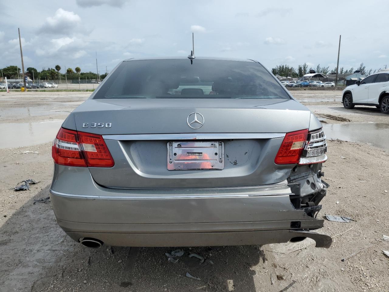 2010 Mercedes-Benz E 350 VIN: WDDHF5GB0AA221069 Lot: 64666374