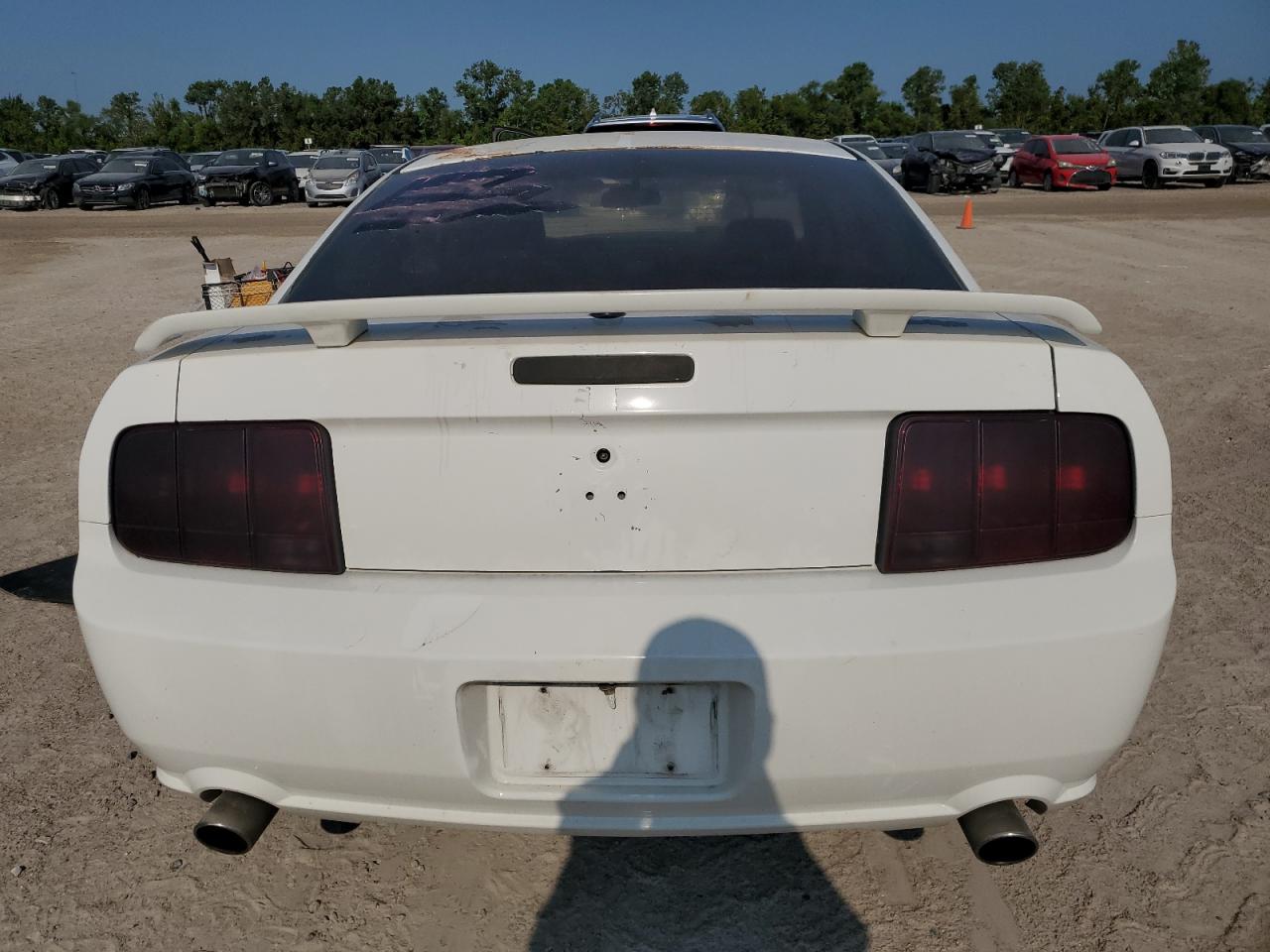 2007 Ford Mustang Gt VIN: 1ZVHT82H675216487 Lot: 66430014