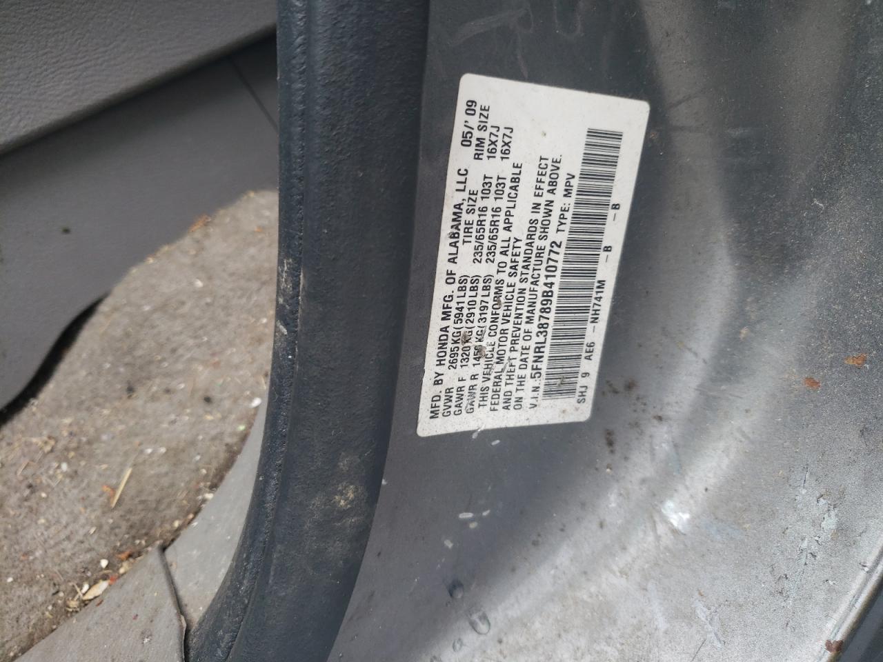 2009 Honda Odyssey Exl VIN: 5FNRL38789B410772 Lot: 66231844