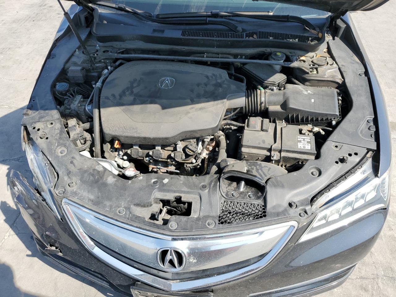 19UUB2F53FA006082 2015 Acura Tlx Tech