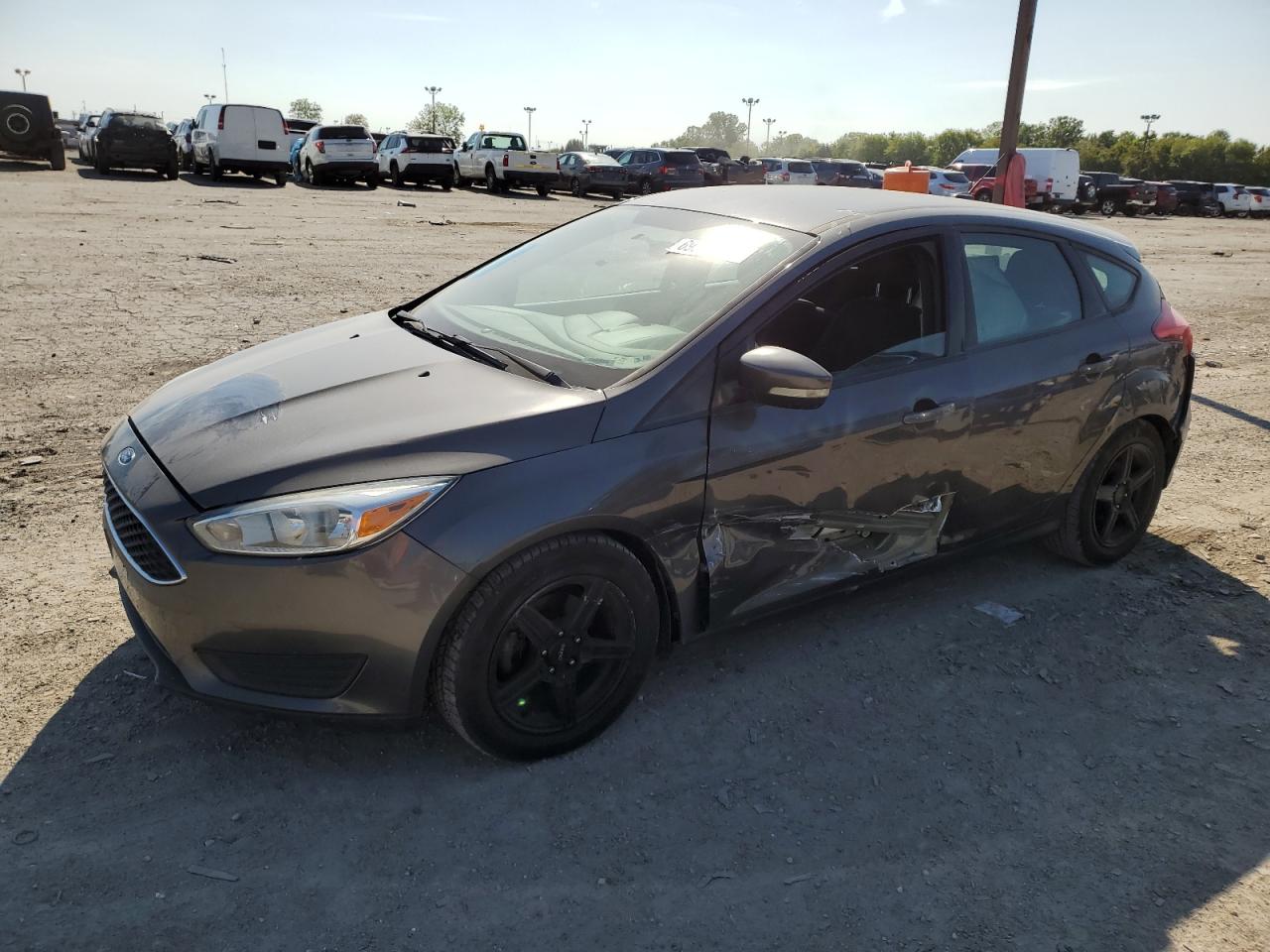 1FADP3K21GL243005 2016 FORD FOCUS - Image 1