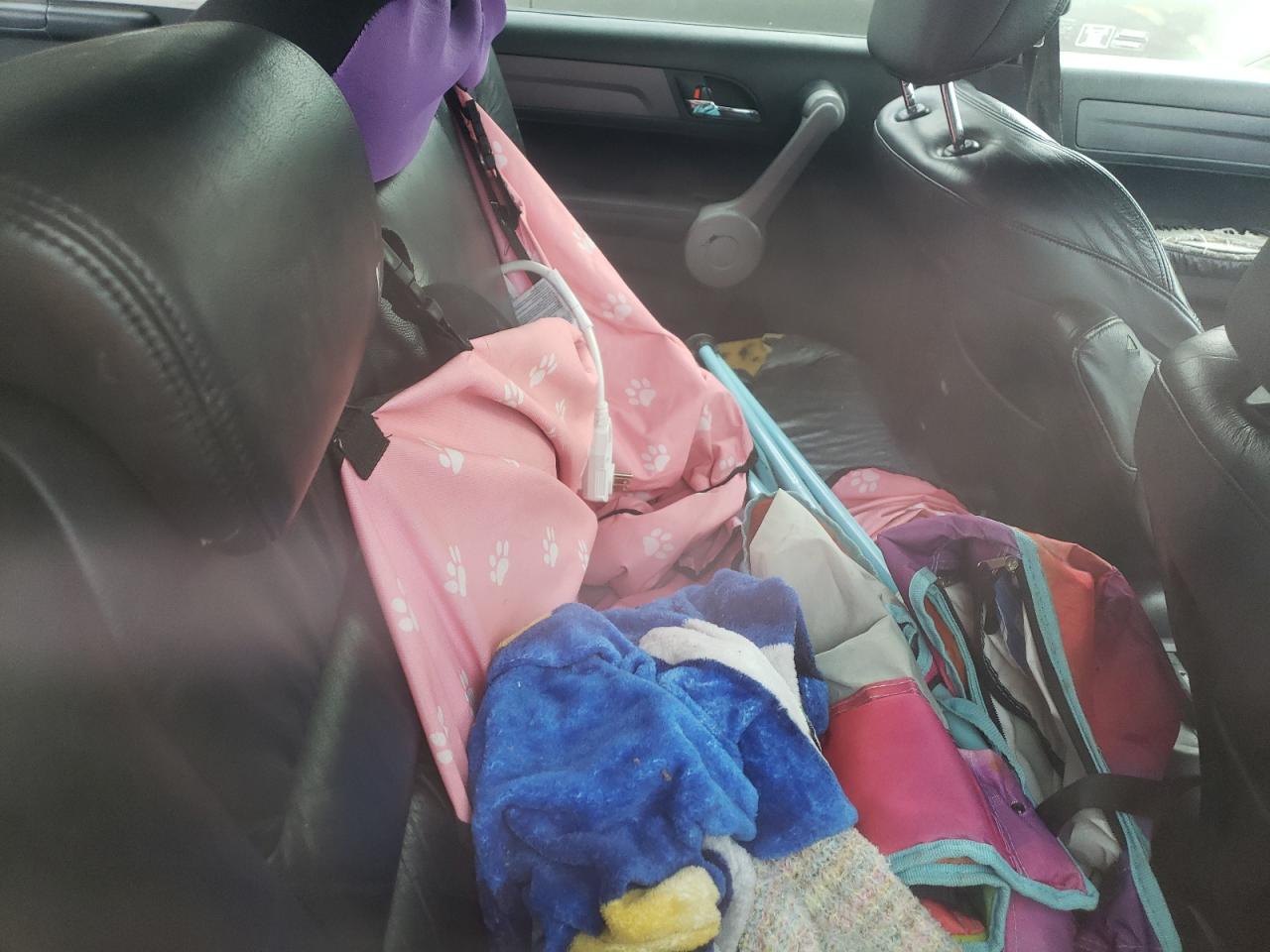 2007 Honda Cr-V Exl VIN: JHLRE48727C117933 Lot: 67250644