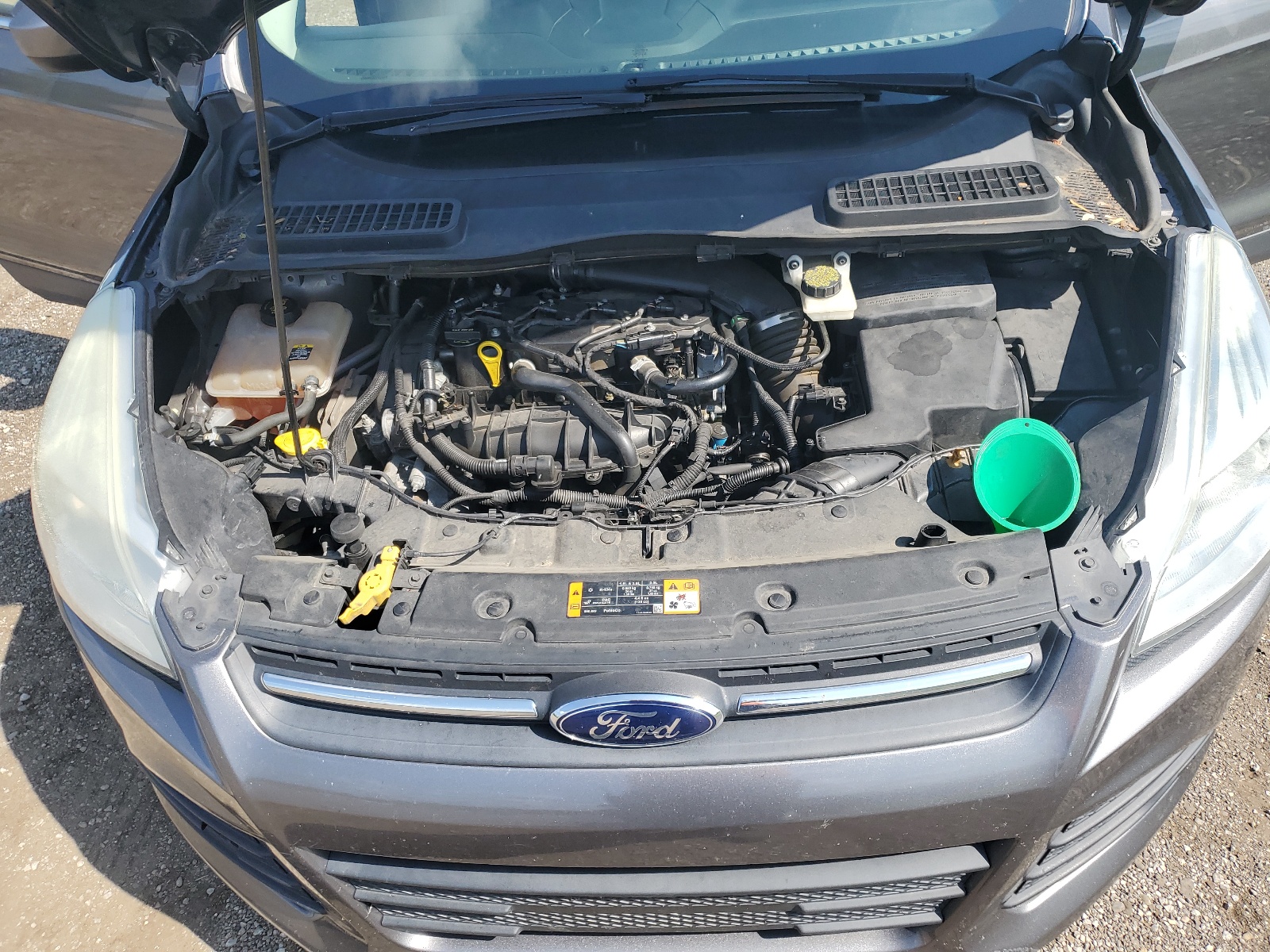 1FMCU0GX4DUD16175 2013 Ford Escape Se