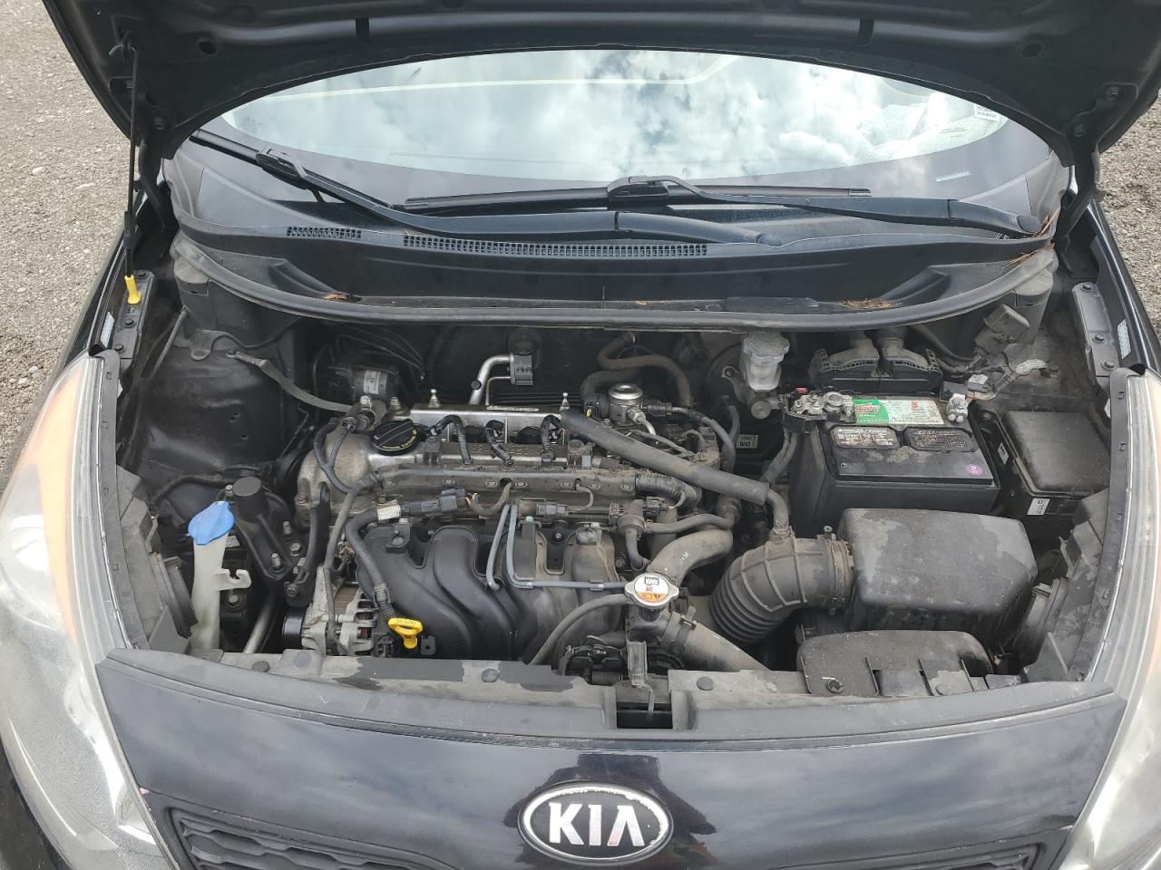 KNADM5A31D6185736 2013 Kia Rio Lx