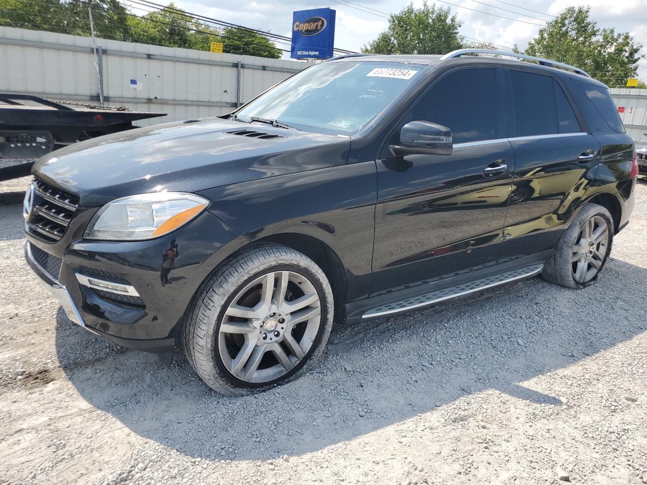 VIN 4JGDA5JBXFA466688 2015 MERCEDES-BENZ M-CLASS no.1