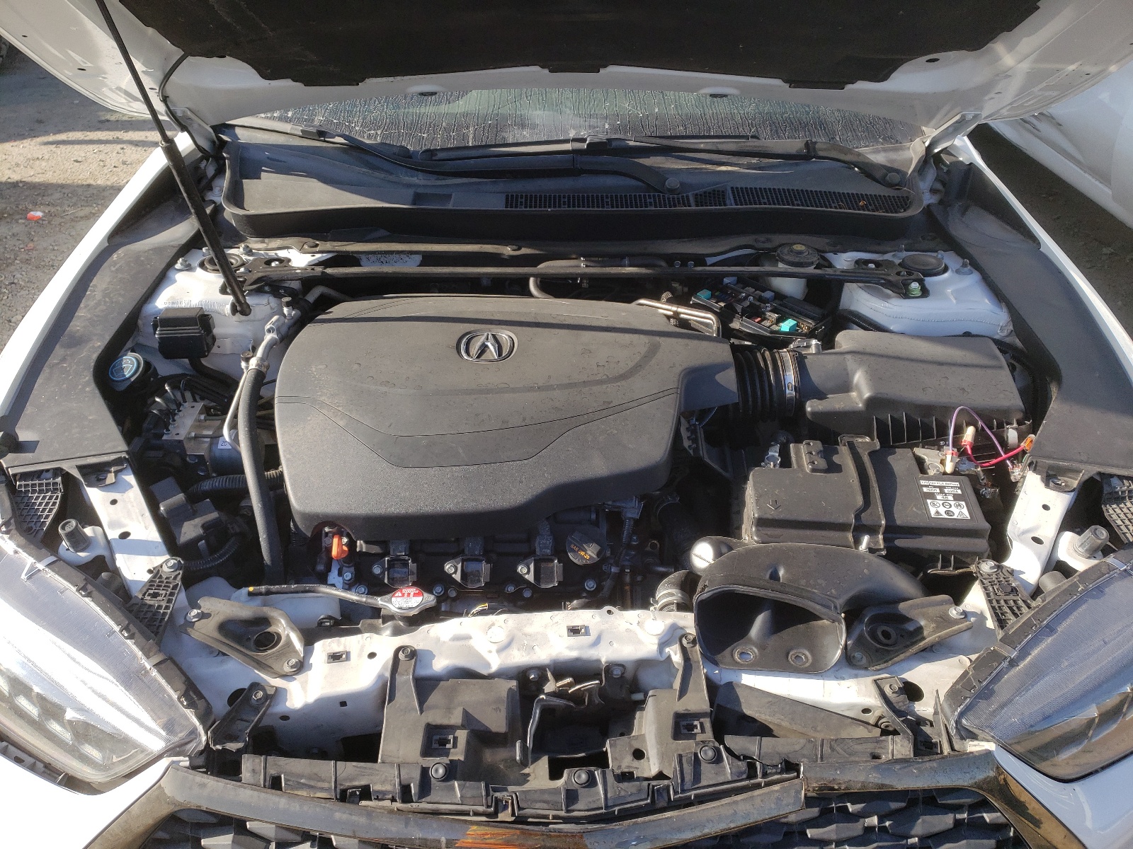 19UUB2F66KA005480 2019 Acura Tlx Technology
