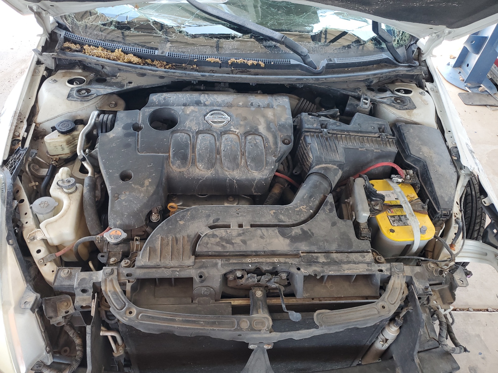 1N4AL2AP0AN546570 2010 Nissan Altima Base