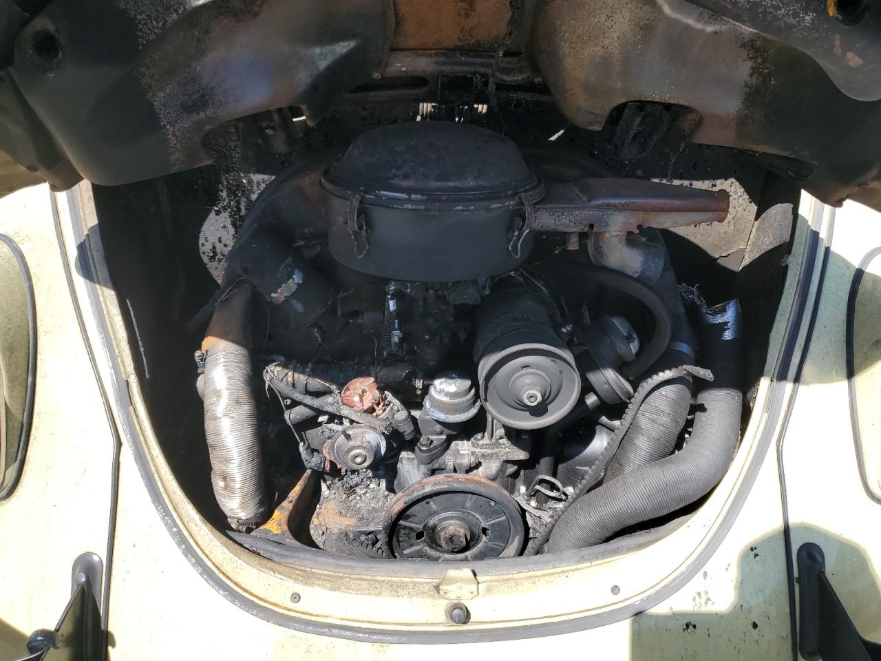 1112370800 1971 Volkswagen Beetle