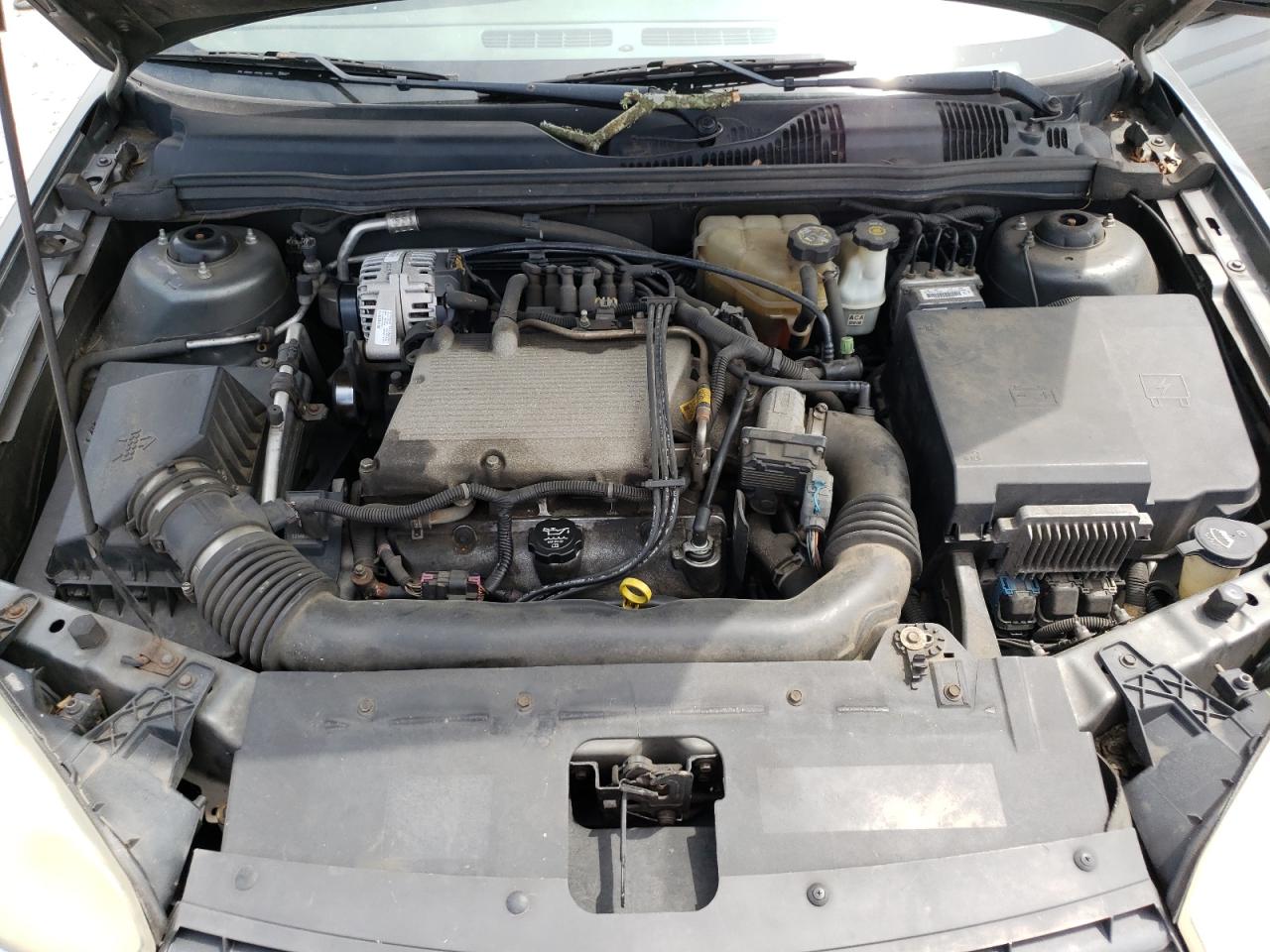 2005 Chevrolet Malibu Maxx Ls VIN: 1G1ZT62885F171046 Lot: 66782784