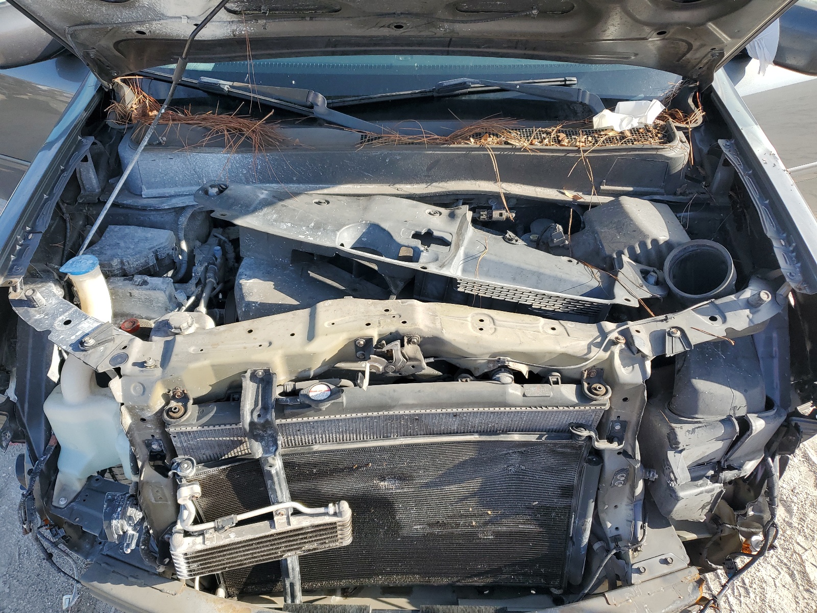 5FNYF3H55BB057236 2011 Honda Pilot Exl